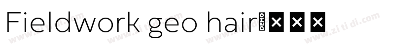 Fieldwork geo hair字体转换
